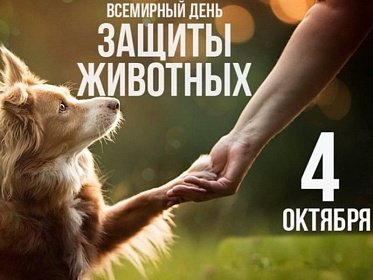 20-ти летний рубеж акции во Всемирный день защиты животных, преодолели!