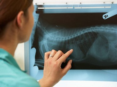 Рентгенодиагностика – безопасное оказание услуг!