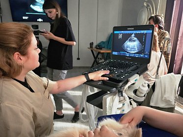 Завершающий этап подготовка специалистов по УЗИ-диагностики  для участковой ветлечебницы Тракторозаводского района